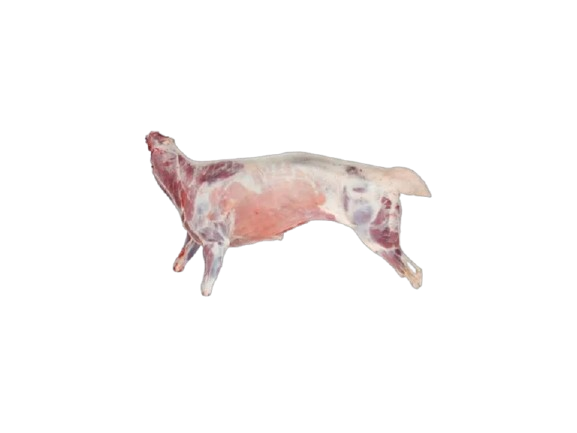 Goat Whole No Skin (Frozen)
