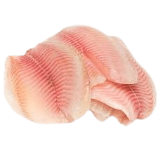 Tilapia