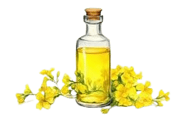 Canola Oil