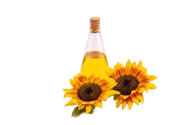 Sunflower Oil